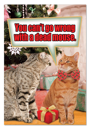 set of cat christmas cards