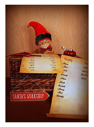 set of cat christmas cards