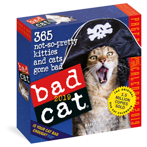 christmas gifts for cat guys