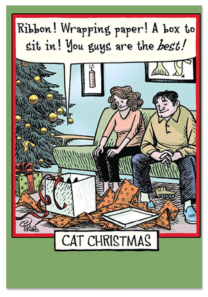 set of cat christmas cards