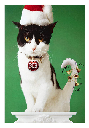 set of cat christmas cards