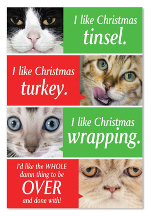 set of cat christmas cards