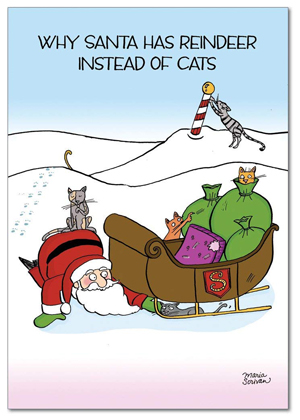 set of cat christmas cards