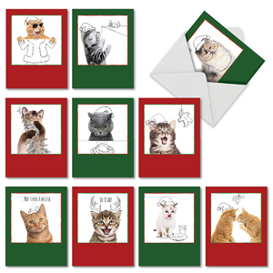 set of cat christmas cards