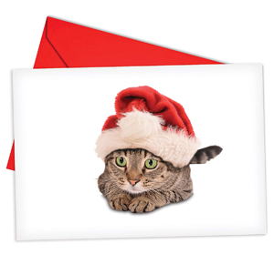 set of cat christmas cards