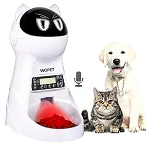 automatic cat feeders