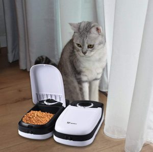 automatic cat feeders