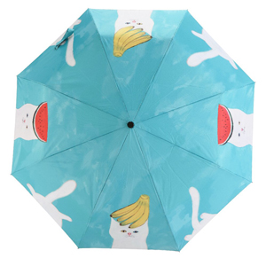 cat umbrellas