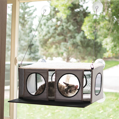 cat window hammocks