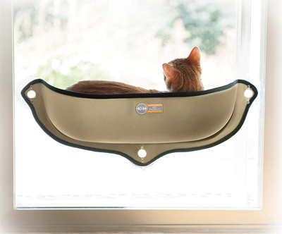 cat window hammocks