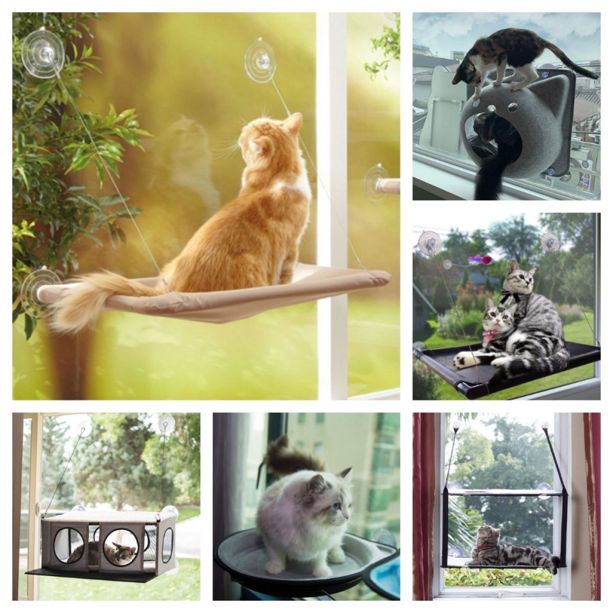 cat hammocks for windows