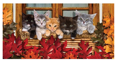 cat beach towels blankets