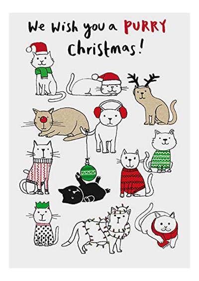 Liyana Studio Greeting Cards Deck The Hall With Face Masks 2020 Cozy Cat Covid Christmas Card Pack Funny Holiday Cards For Cats Lovers Quarantine Christmas Gifts For Friends 