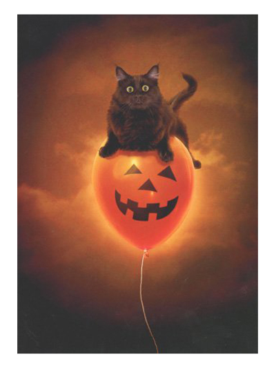 halloween cards for cat lovers