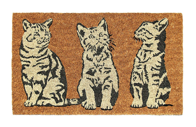 cat doormats