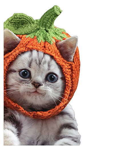 halloween cards for cat lovers