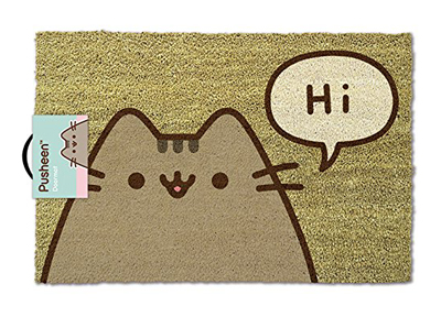 cat doormats