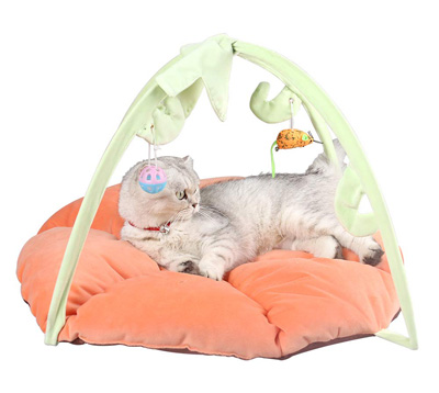 thanksgiving cat toys caves beds