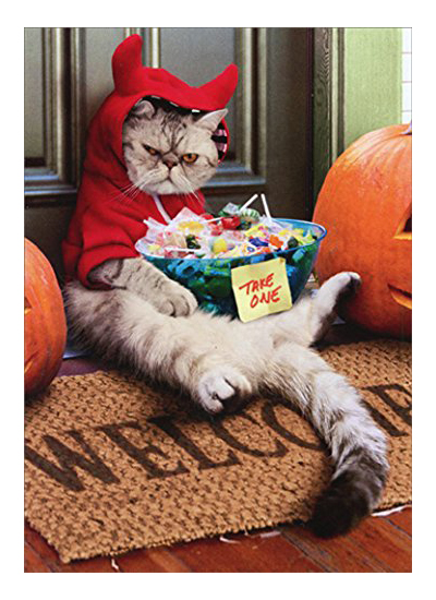 halloween cards for cat lovers