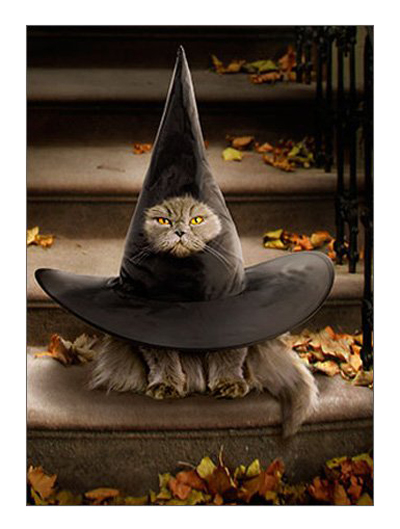 halloween cards for cat lovers
