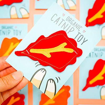 thanksgiving cat toys caves beds