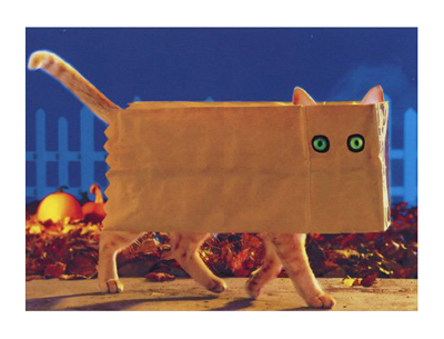 halloween cards for cat lovers