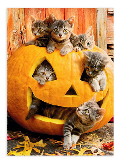 halloween cards for cat lovers