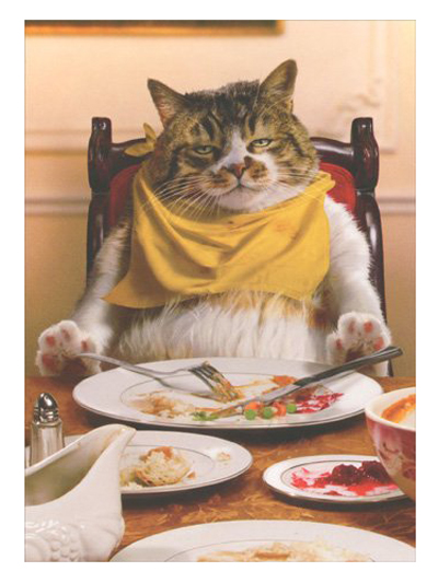cat thanksgiving greeting cards