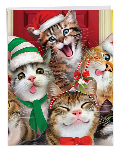 Cute And Quirky Christmas Cards For Cat Lovers Meow As Fluff