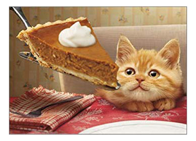 cat thanksgiving greeting cards