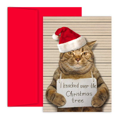 cat christmas cards