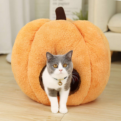 Pumpkin store cat house