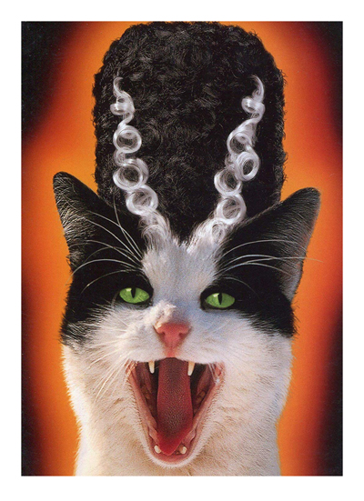 halloween cards for cat lovers