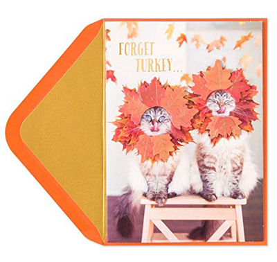 cat thanksgiving greeting cards