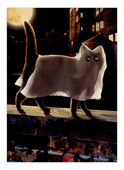 halloween cards for cat lovers