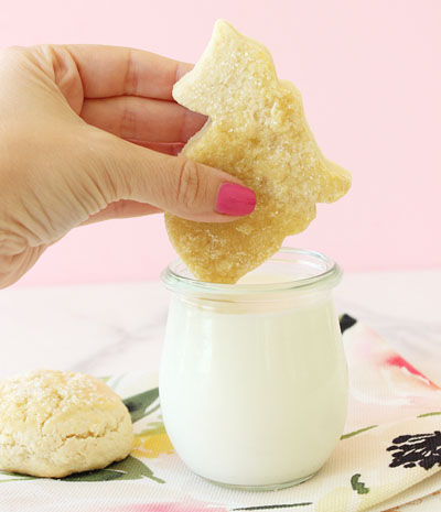 cat Christmas cookie recipes