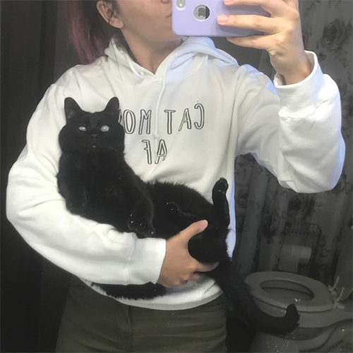 blind and deaf black rescue cat