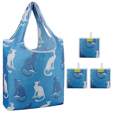 Foldable Ladies Shopping Bag Eco Fold Away Reusable Grocery Bags