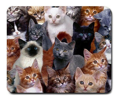 cat mouse pad