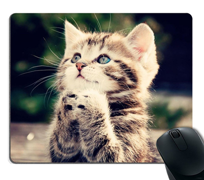 Must-have Mouse Pads For Cat Lovers – Meow As Fluff