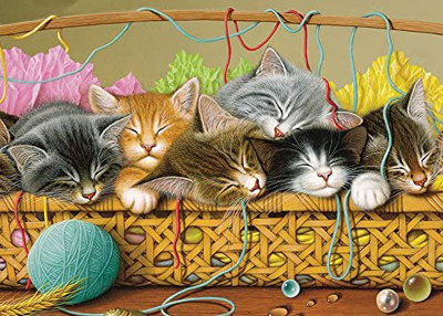 cat kitten puzzles