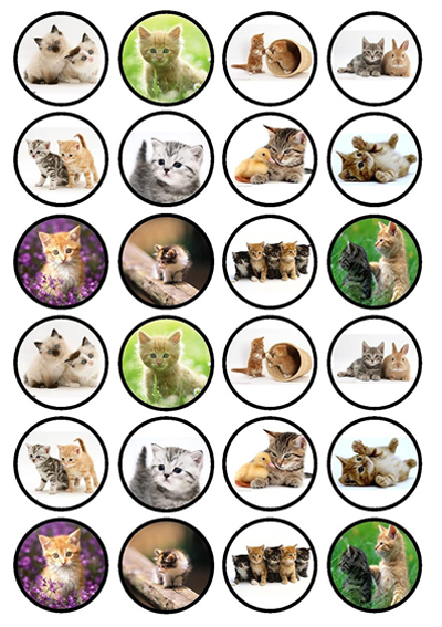 cat cupcake toppers