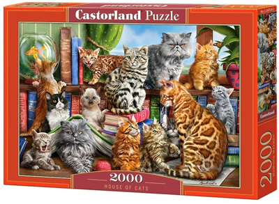 cat kitten puzzles
