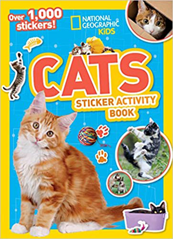 cat activity books