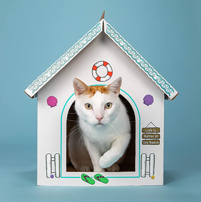 cardboard cat houses