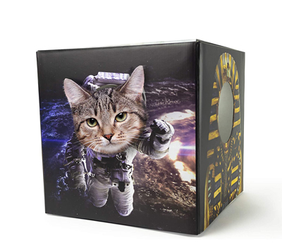 cardboard cat houses