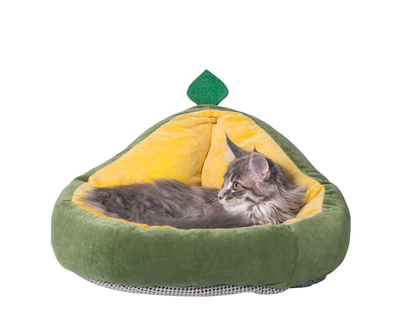 unique cat beds caves