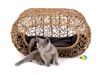 Unique Cat Beds And Caves For Your Uncommon Kitty – Meow As Fluff