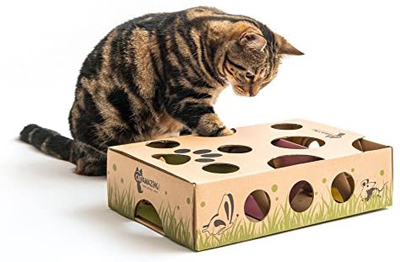 interactive cat toys
