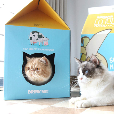 cardboard cat houses